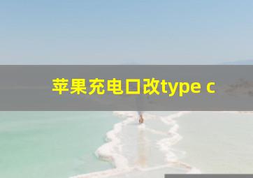 苹果充电口改type c